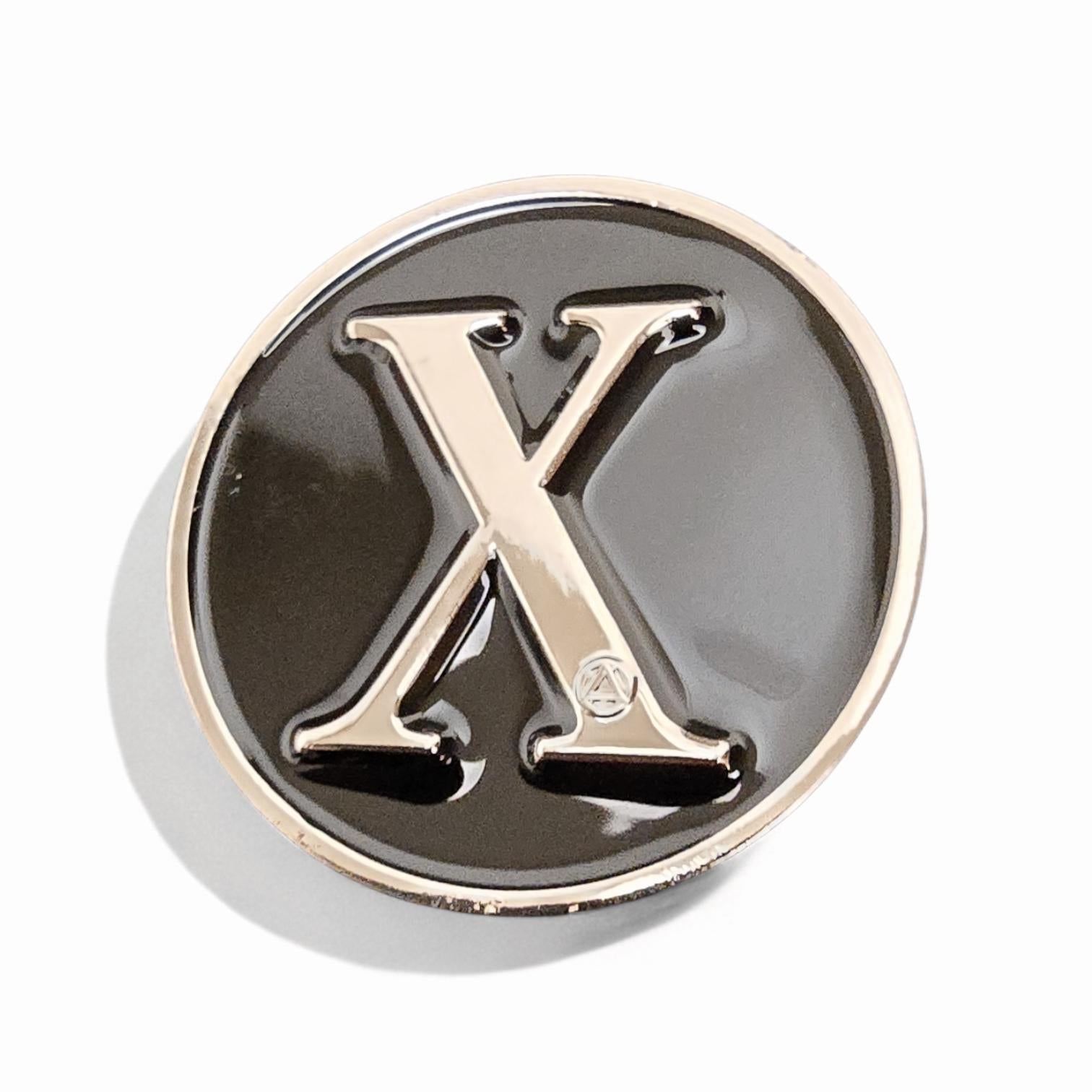 10 Year Sobriety Chip: Big Ten Years Sober - AA Coin / Feed the Good Wolf AA Token