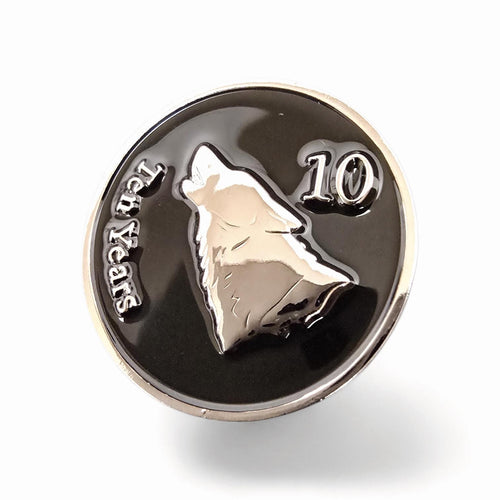 10 Year Sobriety Chip: Big Ten Years Sober - AA Coin / Feed the Good Wolf AA Token
